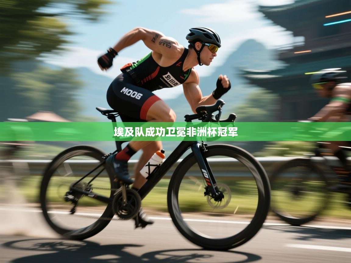 埃及队成功卫冕非洲杯冠军 第1张