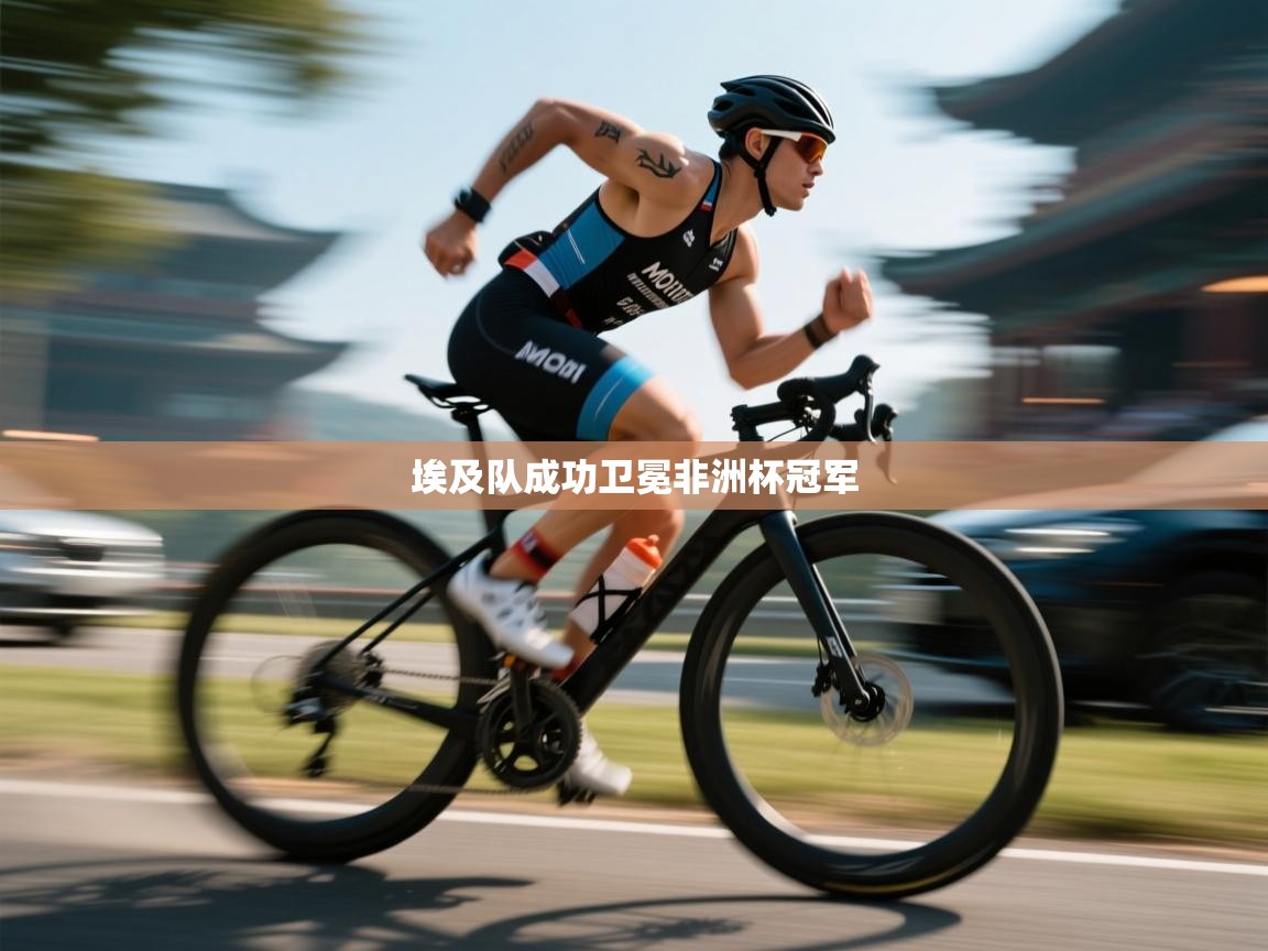 埃及队成功卫冕非洲杯冠军 第2张