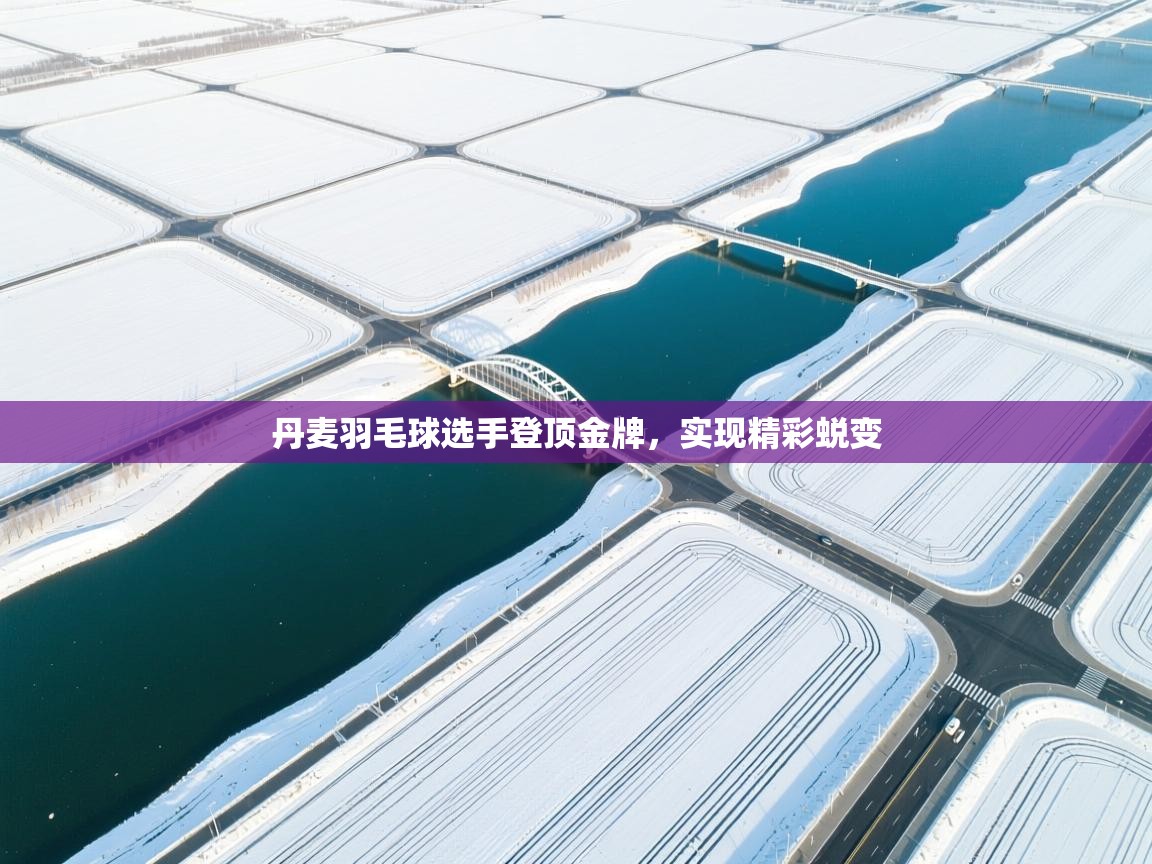 丹麦羽毛球选手登顶金牌，实现精彩蜕变