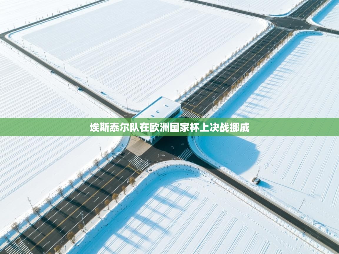 埃斯泰尔队在欧洲国家杯上决战挪威