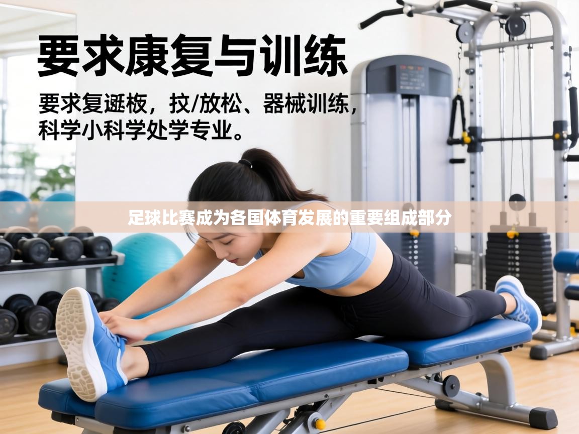 足球比赛成为各国体育发展的重要组成部分 第2张