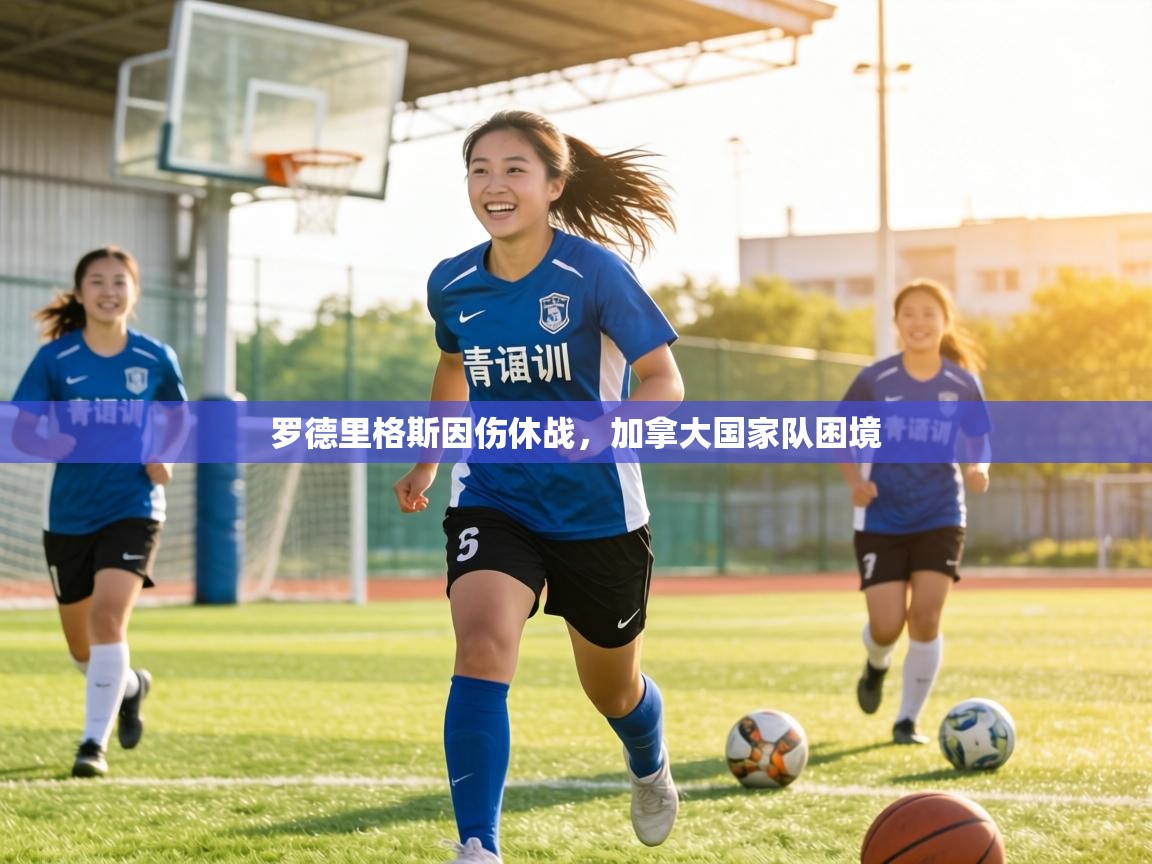 罗德里格斯因伤休战,加拿大国家队困境 第2张